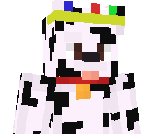 YTZoomeplayz's skin