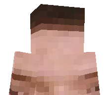 Didier_OFFICIEL's skin
