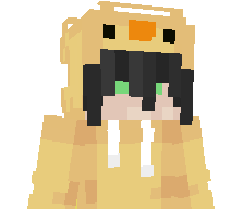 11wiks's skin