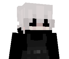 lvnik_'s skin