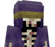 THENoWiQ2137's skin