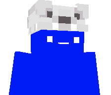 AceBeatle6165's skin