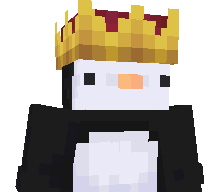 NSCR's skin