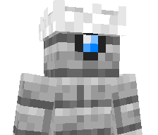 WrongHat's skin