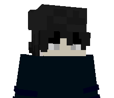 rektifyja's skin