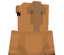 Passi0n_'s skin