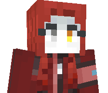 Bloxionss's skin