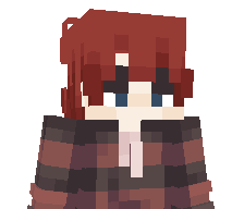 iiToga's skin