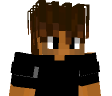 pioj's skin