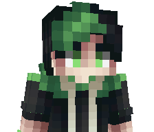 1Wzy's skin