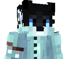 SpeederXD's skin