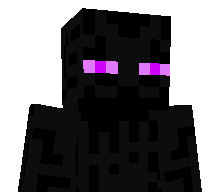 kiwiboy135's skin