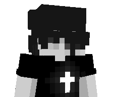 hvvs's skin