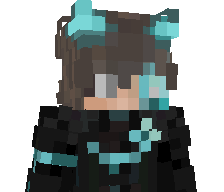 RblxPL's skin