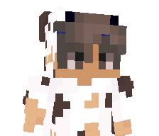 SlootKomKommer's skin