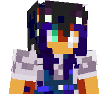 TryFox0's skin