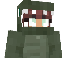 Fleekaz's skin
