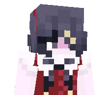 swewrr's skin
