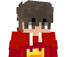 PusioGaming123's skin