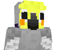 YNLaudix's skin