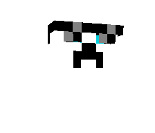 zicraftian's skin
