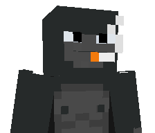 rqckzzz's skin