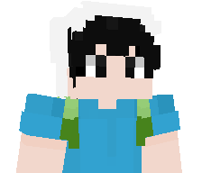 saasgg's skin
