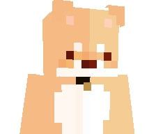 Santet's skin