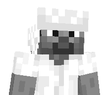L211's skin