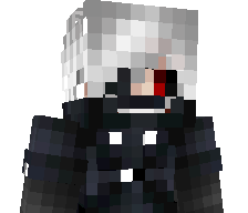 Le_Cache_oeil's skin