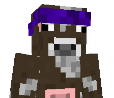 BaldCow0's skin