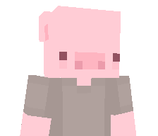 notapiggy's skin