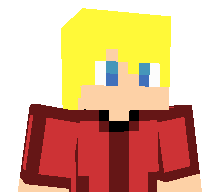 NAMEPLAYS_OFC's skin