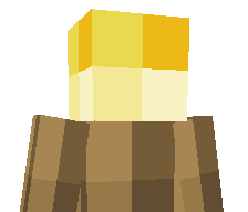 TorchWizard's skin