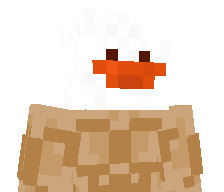 MisterDuck_16's skin