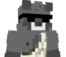 Mapache_4's skin