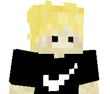 paproc8953's skin
