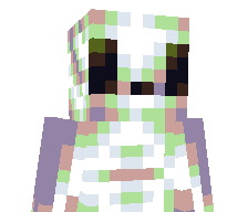 robloxguy12345's skin