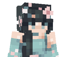 vc1111's skin