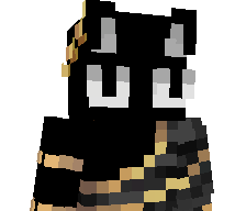 NotWipson's skin