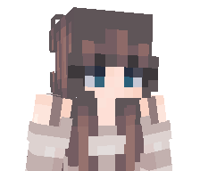 viiy0876's skin