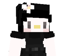 Disgame's skin