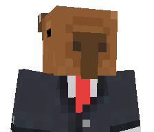 NagetPvP's skin