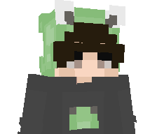 HTOWN_BEAST's skin