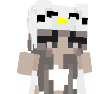 PixelGamer04's skin