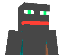 mitkoepicha223's skin