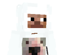 nthvr's skin