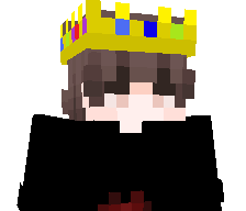 ziolyss's skin