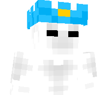 c6se's skin