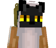 SalmonT3ch's skin